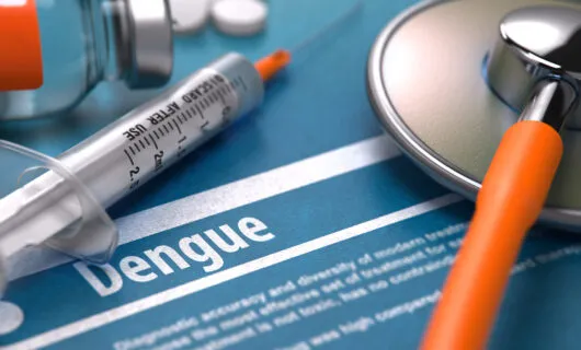 Dengue: Conhecendo Mais sobre o Inimigo Silencioso